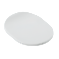 Сиденье с крышкой Artceram CHIC с плавным опусканием цвет белый матовый петли хром CHA001 05 71 — фото 1, Сиденья для унитаза