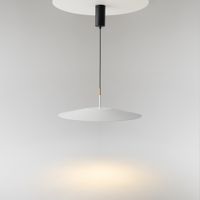 Подвесной светильник Maytoni MOD041PL-L15W3K1 — фото 15, Подвесные светильники