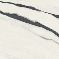 Плитка Ф.Д.М. Панда Вайт 120х120 Рет (2,88 кв.м.) арт-600010002406 — фото 1, Керамическая плитка