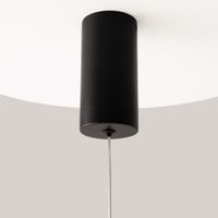 Подвесной светильник Maytoni MOD157PL-L6BK — фото 4, Подвесные светильники