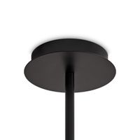 Товар: Потолочный светильник Freya FR5544CL-10B - фото 6 Потолочный светильник Freya FR5544CL-10B — фото 6, Подвесные светильники