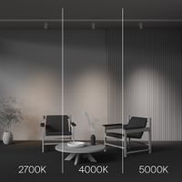 Трековый светильник Technical арт-TR197-3-12WCCT-M-W — фото 5, Трековые светильники