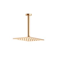 Верхний душ Webert AC0943794, матовое золото — фото 1, Верхние души