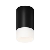 Потолочный светильник Outdoor O499CL-L10B3K — фото 1, Уличное освещение