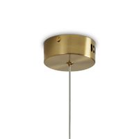 Подвесной светильник Freya FR6139PL-L8BS — фото 5, Подвесные светильники