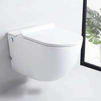 Унитаз BARBARIA Aria Pulse подвесной с функцией импульсного смыва, БЕЗ РАМЫ (585х360х330) Ceruttispa арт-CT10591 — фото 1, Подвесные унитазы