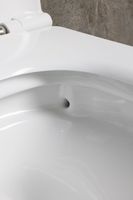 Товар: Чаша подвесного унитаза Allen Brau Liberty белый арт-4.33011.20 - фото 13 Чаша подвесного унитаза Allen Brau Liberty белый арт-4.33011.20 — фото 13, Подвесные унитазы