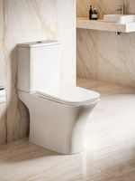 Товар: Унитаз VETTORE напольный безободковый Ceruttispa (650x340x770) арт-CT7192 - фото 2 Унитаз VETTORE напольный безободковый Ceruttispa (650x340x770) арт-CT7192 — фото 2, Напольные унитазы