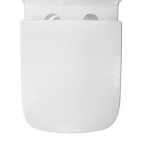 Унитаз-компакт Azario Rise 385х623х792 напольный, безободковый с быстросъемным сиденьем микролифт арт-AZ-68D — фото 7, Напольные унитазы