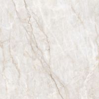 Керамогранит Adani_GT Беж. 60x60 _ 1\54,72 арт-GT606019202SPR — фото 13, Керамогранит