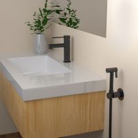 Смеситель для раковины с гигиеническим душем Timo Saona 2360/03G черный — фото 1, Смесители для раковины