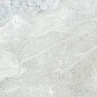 Плитка (1,80 кв.м.) арт-E-5004/M/600x600x9 — фото 1, Керамическая плитка