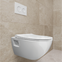 Безободковый унитаз подвесной STREAM LINE 52 cm с крышкой Roma SET40006476R — фото 2, Подвесные унитазы