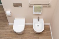 Товар: Унитаз приставной Aquanet Rimless LX-1906 арт-Atago 2.0 F - фото 14 Унитаз приставной Aquanet Rimless LX-1906 арт-Atago 2.0 F — фото 14, Приставные унитазы