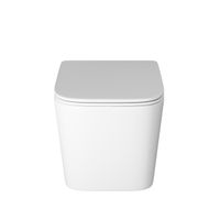 Унитаз подвесной Grossman (485х340х290) безободковый,смыв торнадо,белый матовый с тонкой крышкой,микролифт,1 место арт-GR-4404MSQ — фото 1, Подвесные унитазы