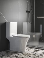 Унитаз BERNINA Tornado напольный безободковый Ceruttispa CT11133 (650x340x790) — фото 1, Напольные унитазы