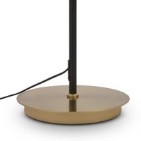 Напольный светильник (торшер) Freya арт-FR5201FL-01B — фото 5, Торшеры