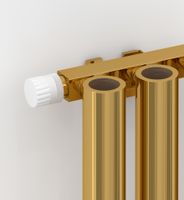 Отопительный радиатор Сунержа Кумир-0 EU50 левый 300х330 5 секций Золото арт-03-0350-3005 — фото 1, Радиаторы отопления