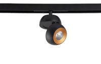 Рефлектор светильника арт-CLT 0.33 011 Reflector GOLD — фото 1, Комплектующие для освещения