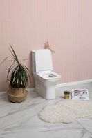 Чаша напольного унитаза Aquanet Rimless CL-12248B арт-Cube-C — фото 14, Напольные унитазы