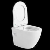 Товар: подвесной унитаз-биде ceramalux арт-2196-BD - фото 3 подвесной унитаз-биде ceramalux арт-2196-BD — фото 3, Подвесные унитазы