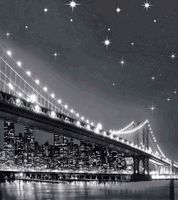 шторка д/в тканевая 180х200см "Мост" MZ-68 — фото 1, Шторки на ванну