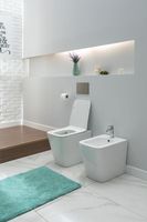 Товар: Унитаз приставной Aquanet Rimless Tavr 2.0 F LX-1908 - фото 14 Унитаз приставной Aquanet Rimless Tavr 2.0 F LX-1908 — фото 14, Приставные унитазы