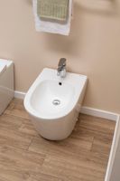 Товар: Унитаз приставной Aquanet Rimless LX-1906 арт-Atago 2.0 F - фото 8 Унитаз приставной Aquanet Rimless LX-1906 арт-Atago 2.0 F — фото 8, Приставные унитазы