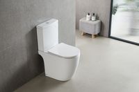 Унитаз-компакт Azario LEO TORNADO FLUSHING 360х595х820 напольный, безободковый, слив "Торнадо", в комплекте с быстросъемным сиденьем микролифт арт-AZ-1253CT — фото 12, Напольные унитазы