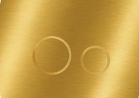 KK-POL 350/AFS/053-00-00 AQUAFIORI SFERA Металлическая панель смыва для инсталляции, цвет золото матовый — фото 1, Панели