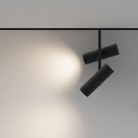 Трековый светильник Technical TR005-2-2X12W3K-B — фото 6, Трековые светильники