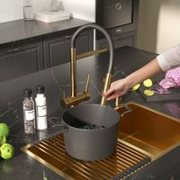 Смеситель Reflexion Lago RX9902GD для кухни с гибким изливом и подключением к фильтру, брашированное золото — фото 13, Смесители для кухни