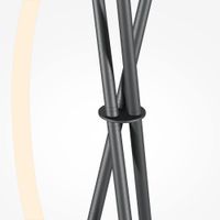 Напольный светильник (торшер) Maytoni арт-MOD369FL-L36B3K — фото 5, Торшеры