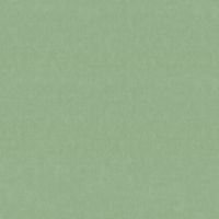 Обои 5169 59366 Forest арт.AR11248-03 — фото 1, Обои для стен