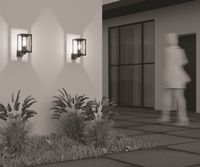 Настенный светильник (бра) Outdoor O452WL-01GF — фото 2, Уличное освещение