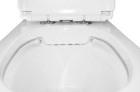 Унитаз напольный Azario FRETTA ROUND 650x340x790 безободковый, в комплекте прямым сиденьем микролифт арт-AZ-7121A — фото 5, Напольные унитазы