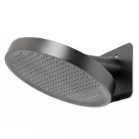 Верхний душ Raglo R452.02.09, графит — фото 1, Верхние души