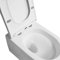 Унитаз подвесной Azario Blanco 360х490х360 безободковый, система слива "Торнадо", быстросъемное сиденье микролифт арт-AZ-9003WT — фото 5, Подвесные унитазы