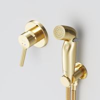 F40H85B99 X-Joy S, гигиенический набор для скрытого монтажа со смесителем для душа, золото — фото 2, Гигиенические души