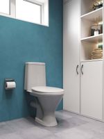 Товар: Унитаз-компакт "Грация", горизонт. вып. 2-х уров. арм., сид. полипрроп. SANTERI арт-1P2103S0000BF - фото 9 Унитаз-компакт "Грация", горизонт. вып. 2-х уров. арм., сид. полипрроп. SANTERI арт-1P2103S0000BF — фото 9, Напольные унитазы