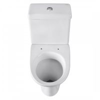 Унитаз-компакт "Форвард" косой выпуск, с 1-режимной кнопочной арматурой и сиденьем п/п "Уклад". SAN 1P2052S0000BF — фото 5, Напольные унитазы