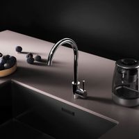 F85B07100 X-Joy S, смеситель для кухни с С-изливом, хром — фото 2, Смесители для кухни