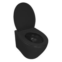 Унитаз подвесной Azario Keras matt black 520х370х360 безободковый, с быстросъемным сиденьем микролифт, черный матовый арт-AZ-99046B — фото 2, Подвесные унитазы
