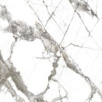 Керамогранит Everest_GT Белый 60x60 _ 1\43,2 арт-GT606013103MR — фото 5, Керамогранит