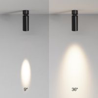 Потолочный светильник Technical арт-C055CL-L12W2.7K-SS-B — фото 7, Подвесные светильники