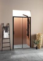 Душевая дверь Aquanet Pleasure 160, прозрачное стекло арт-AE60-N-160H200U-BT — фото 1, Раздвижные душевые двери