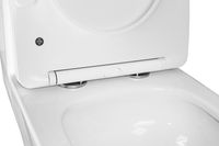 Унитаз-моноблок AZARIO Terni 670x350x760 слив "Торнадо", быстросъемное сиденье микролифт арт-AZ-8618T — фото 6, Напольные унитазы