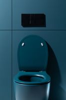 Крышка-сиденье для унитаза Allen Brau Fantasy Soft-Close петроль арт-4.11005.PT — фото 13, Сиденья для унитаза