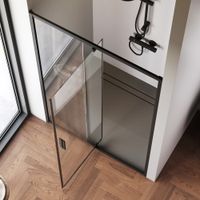 W90G-120-1P-BT Gem дверь душевая распашн 120x195,черный, стекло прозрачн — фото 1, Распашные душевые двери