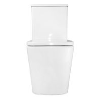 Унитаз-компакт Azario Rise 385х623х792 напольный, безободковый с быстросъемным сиденьем микролифт арт-AZ-68D — фото 10, Напольные унитазы